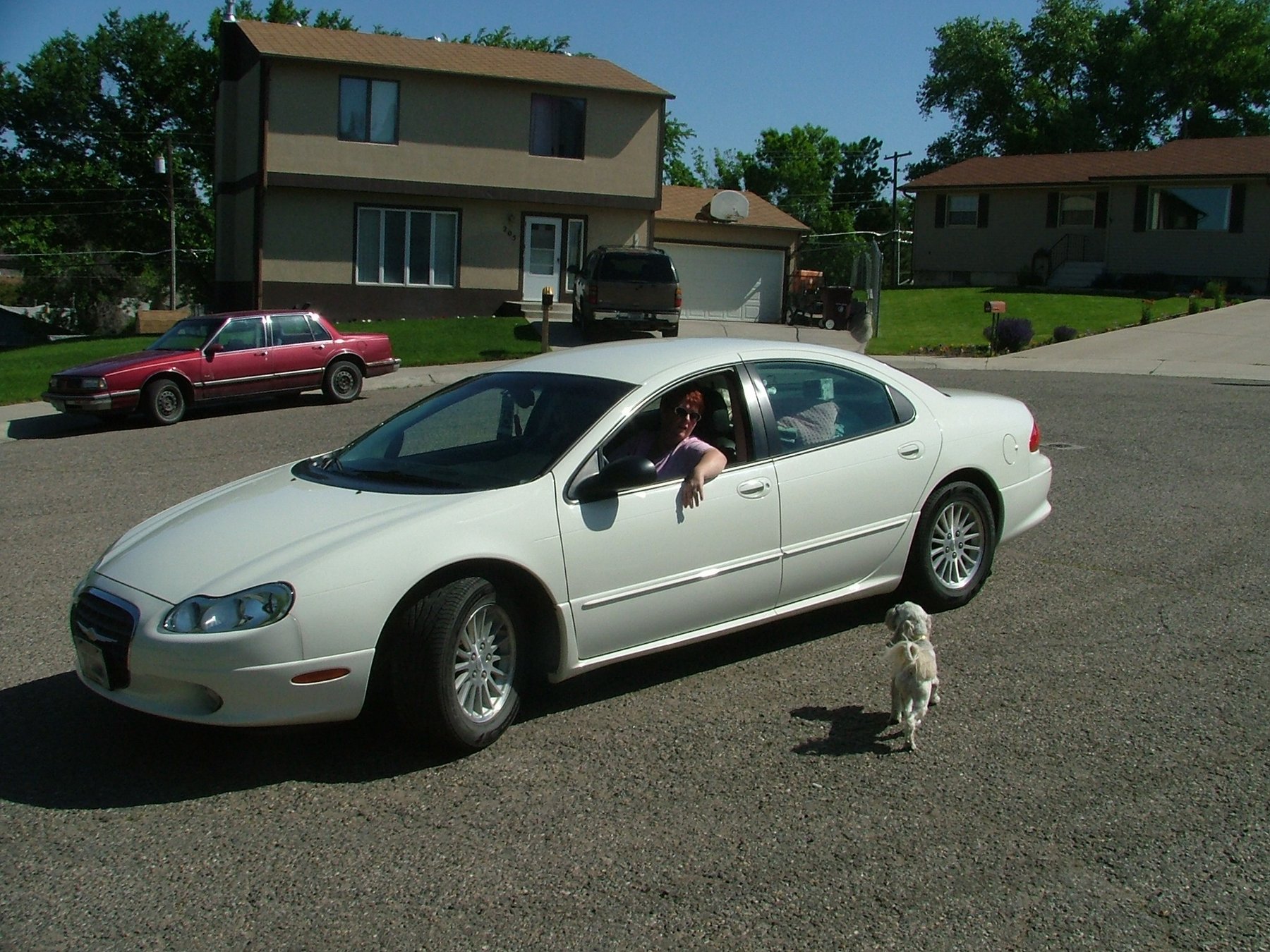 DSCF3390.JPG