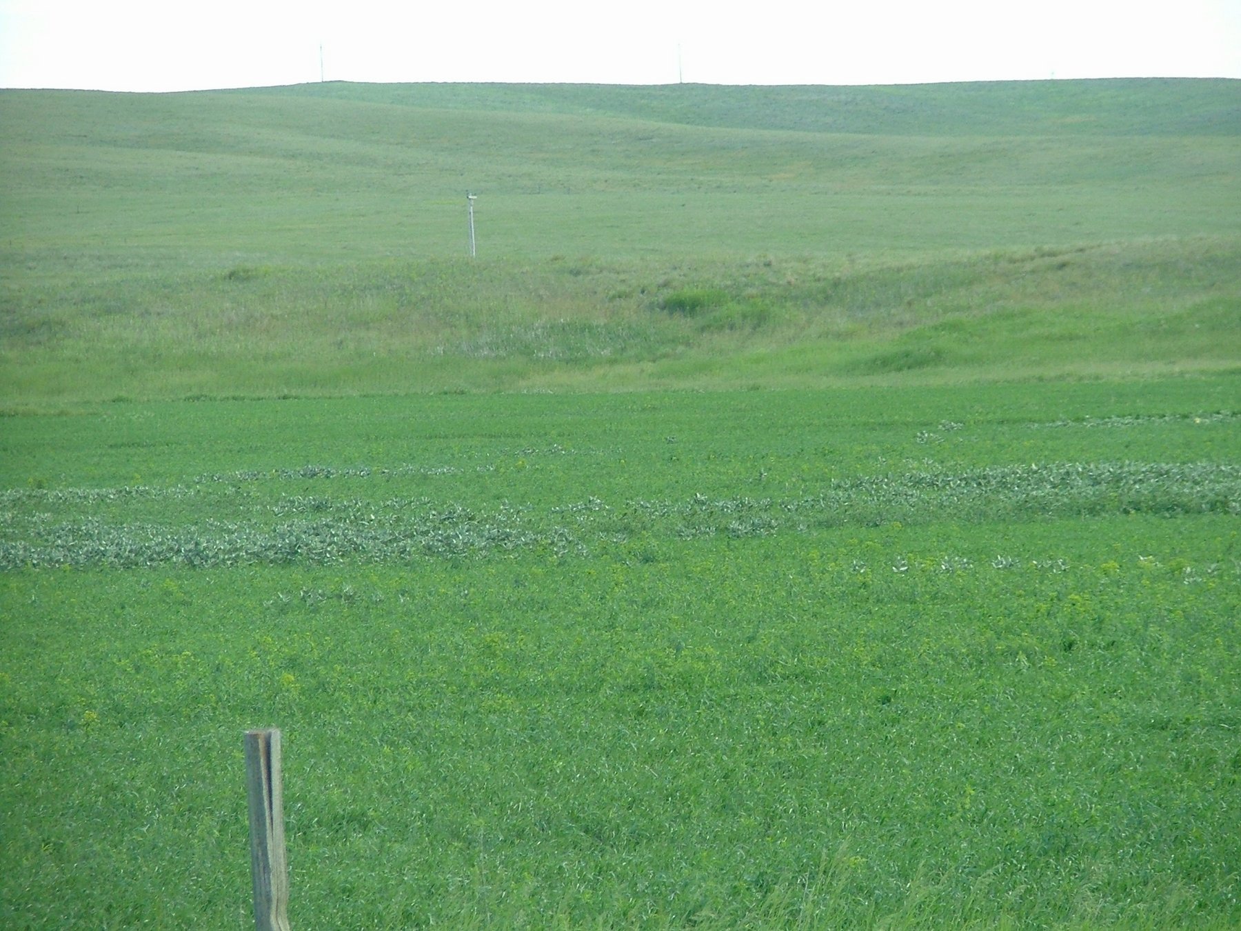 DSCF3415.JPG