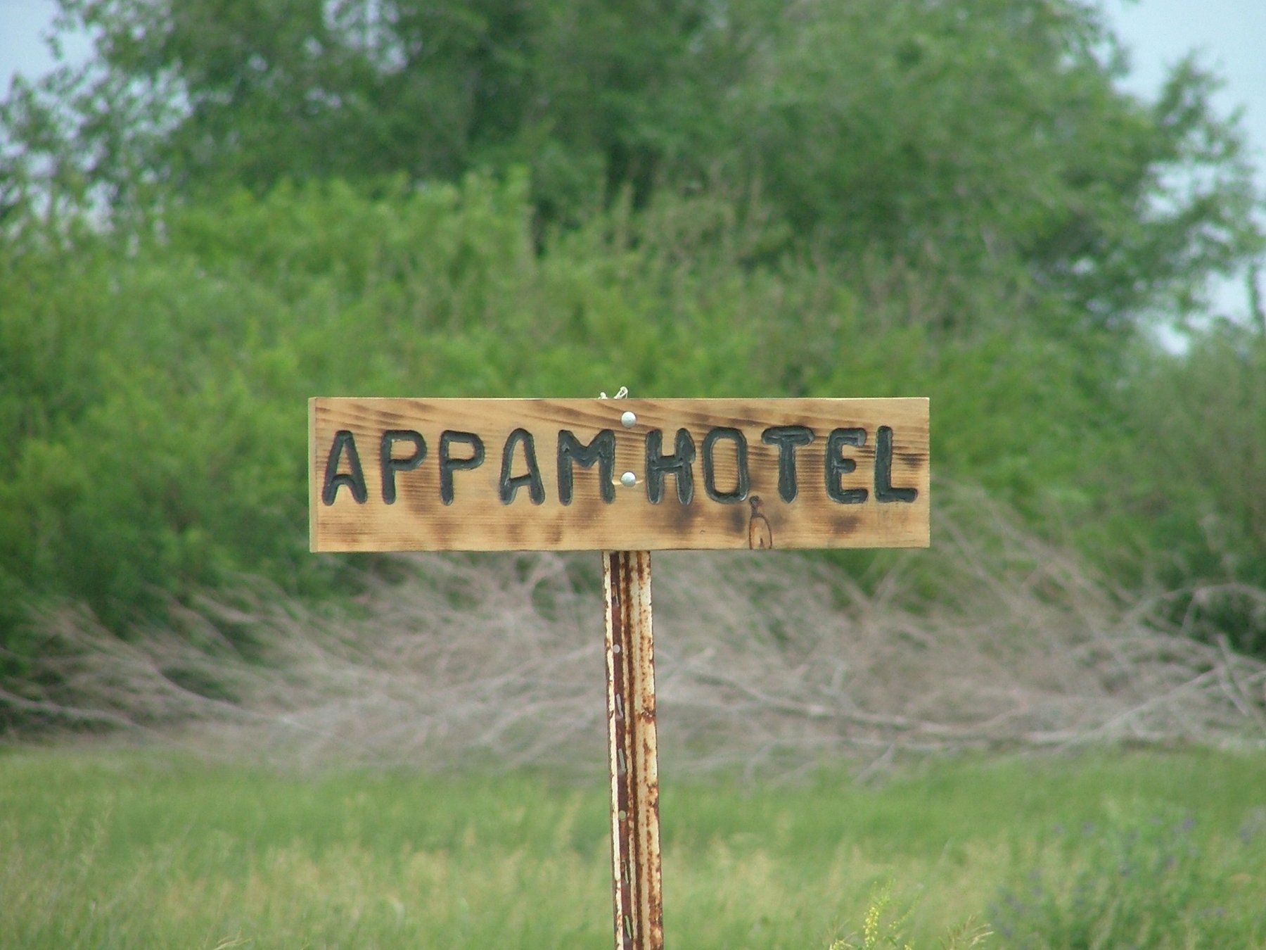 DSCF3433.JPG