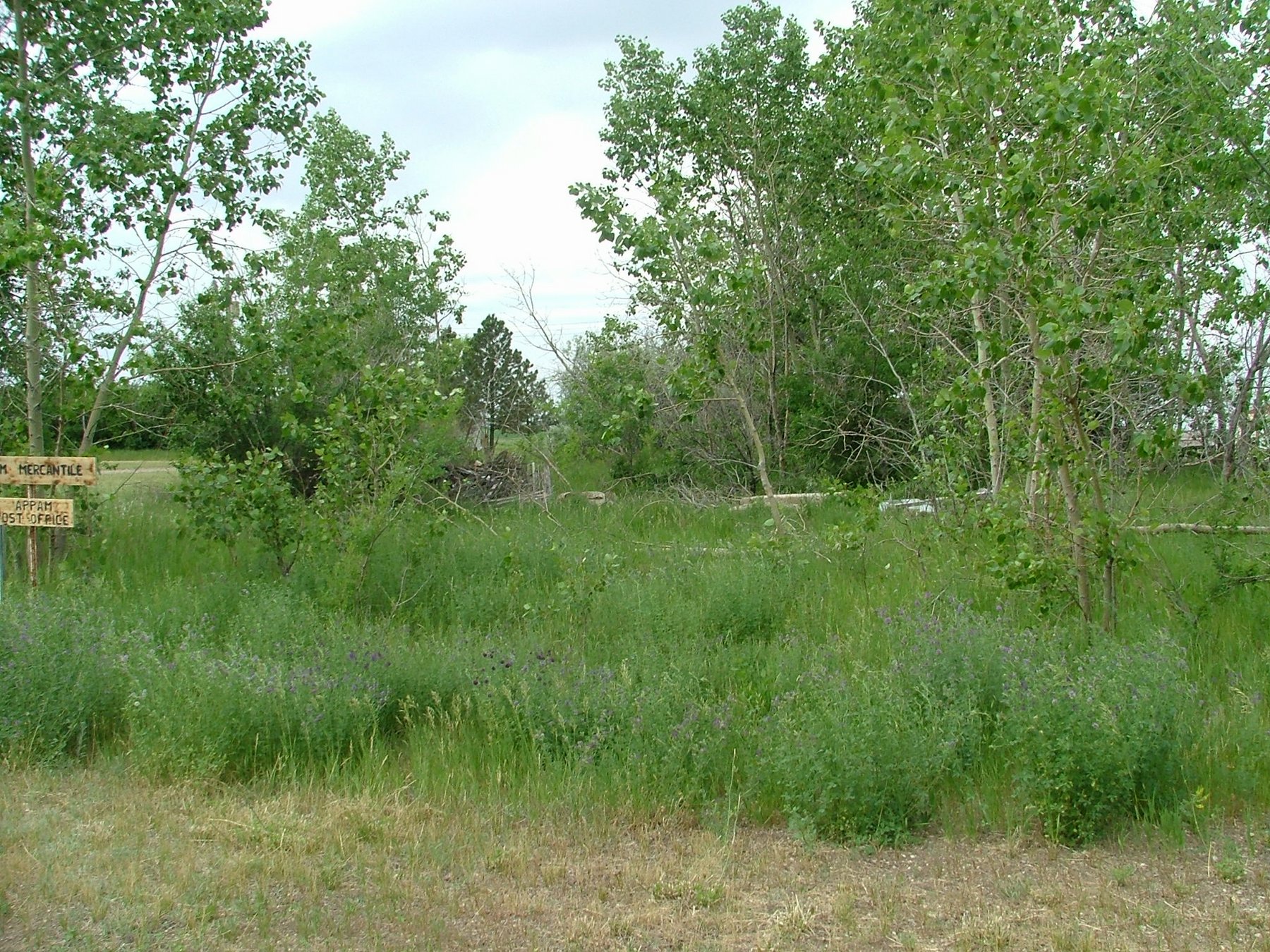 DSCF3435.JPG