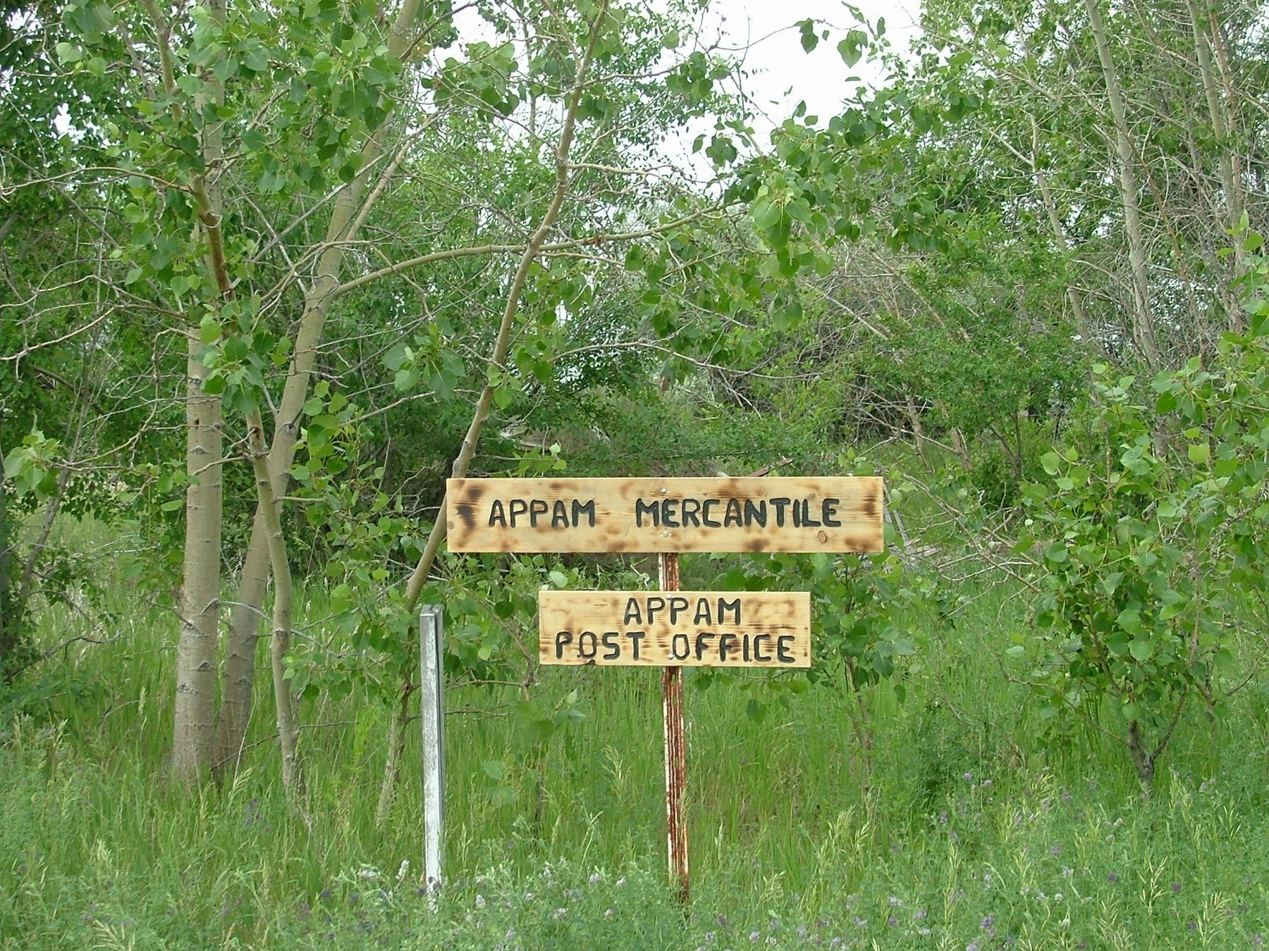 DSCF3436.JPG