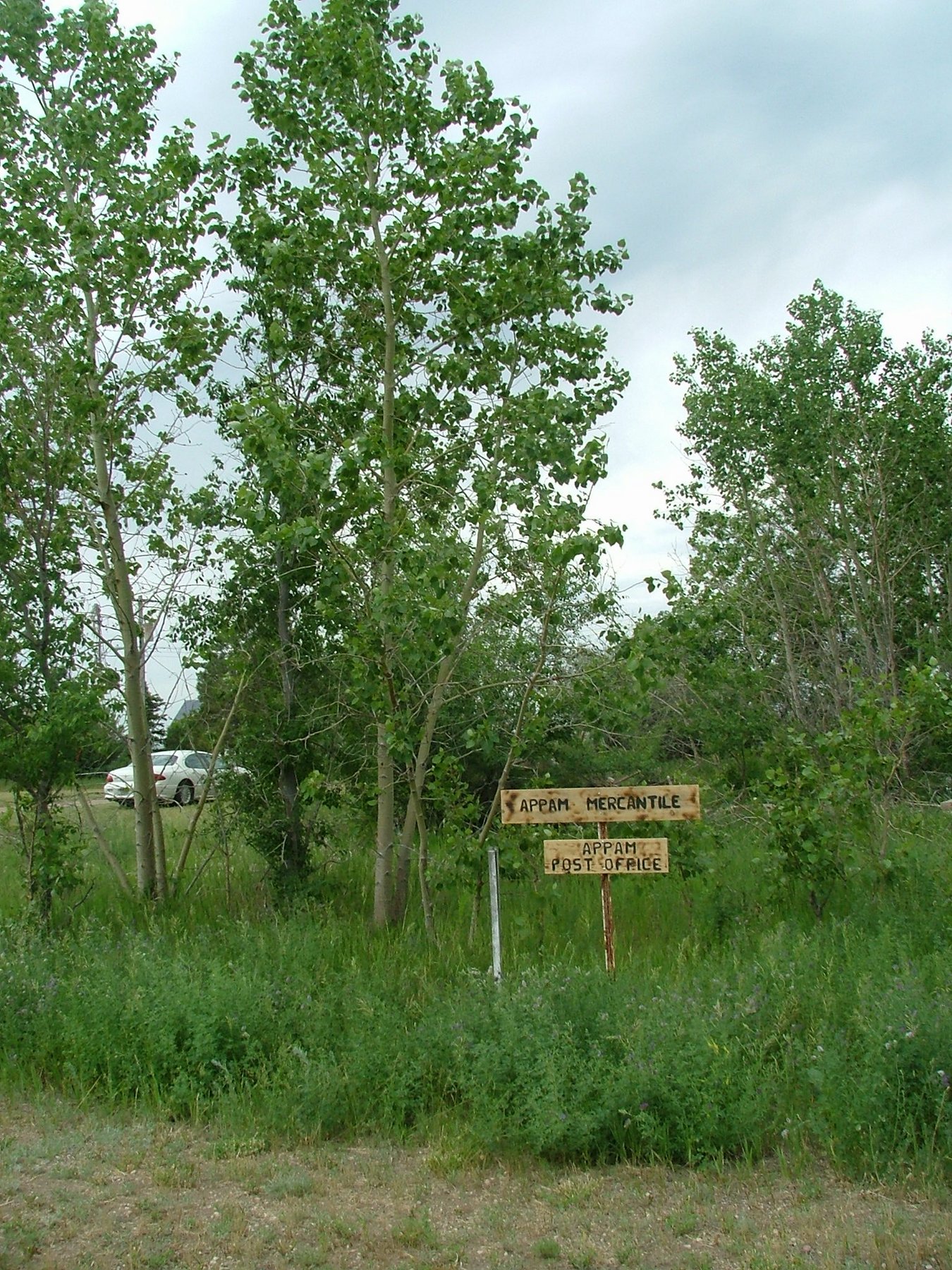 DSCF3437.JPG