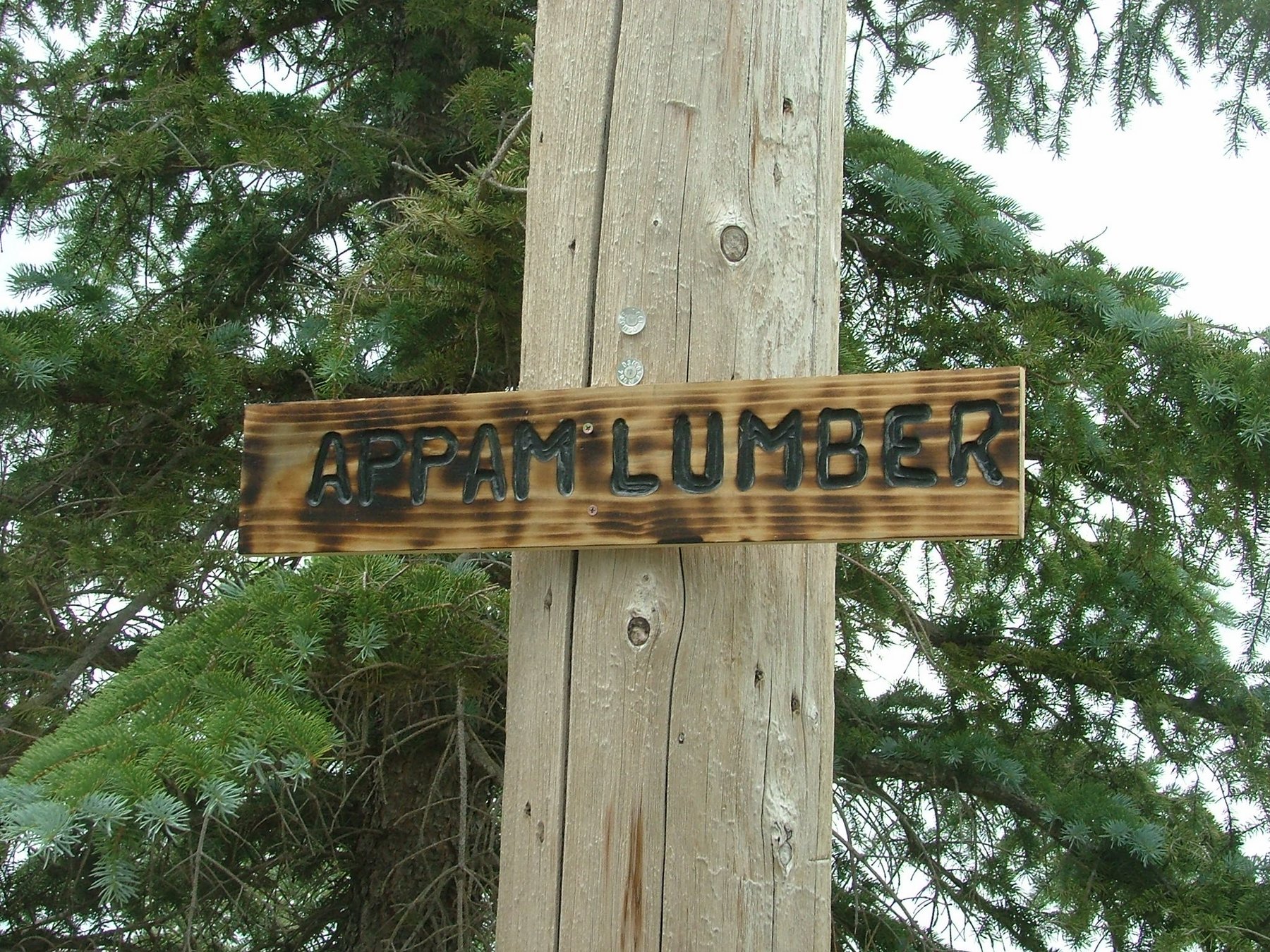 DSCF3445.JPG