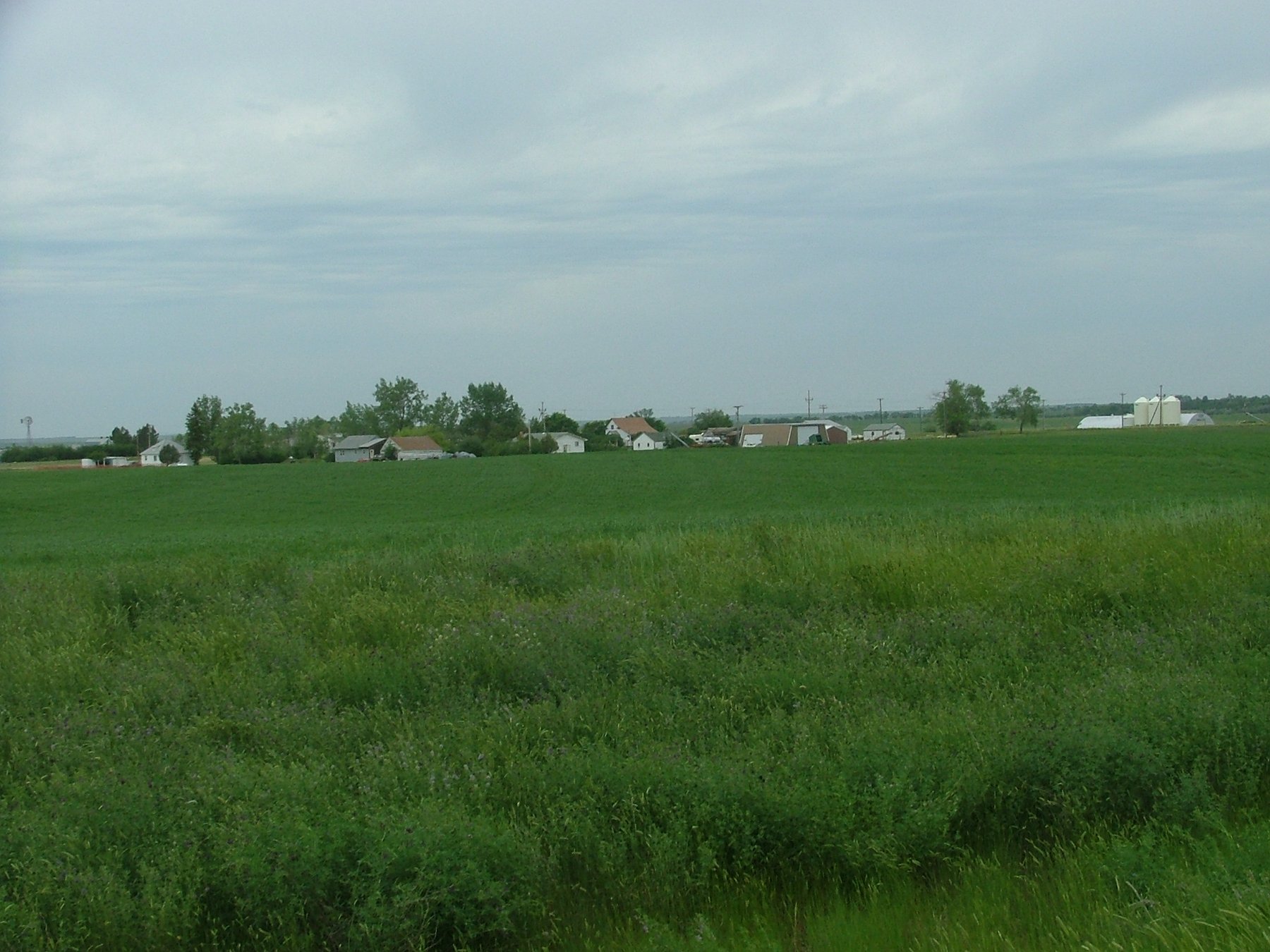 DSCF3449.JPG