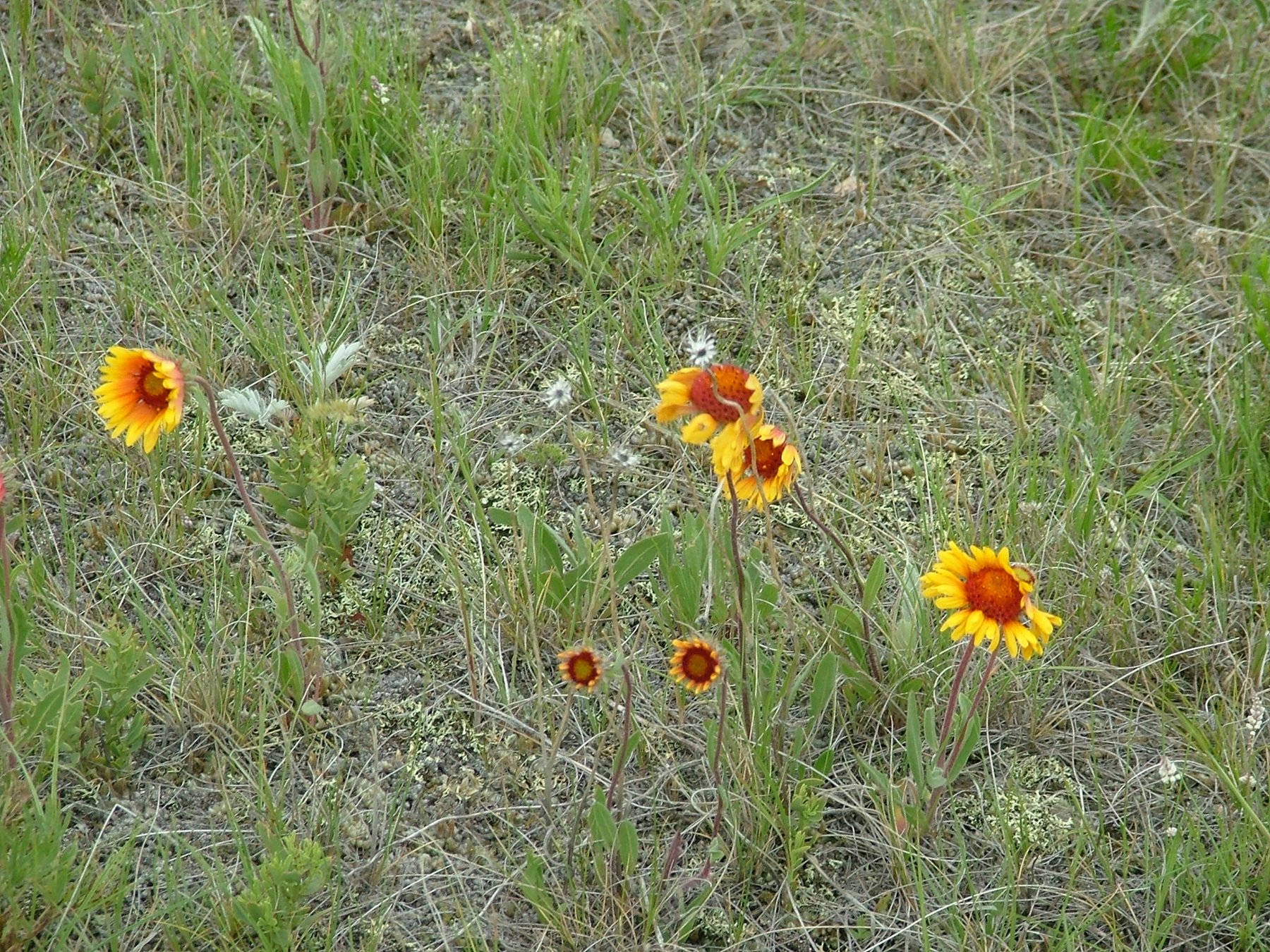 DSCF3567.JPG