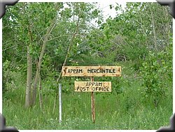 DSCF3436.JPG
