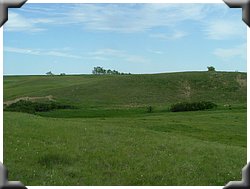 DSCF3576.JPG